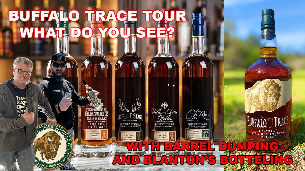 Стоит ли ехать на Buffalo Trace Tour? Что вы видите? Лучшее время для поездки. Узнайте! 