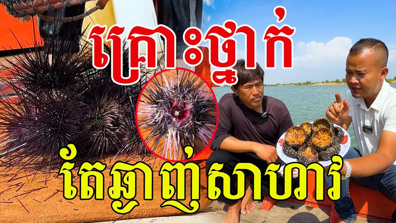 ទម្រាំបានភ្លក្ស មិនងាយស្រួលទេ ម្ជុលការពារវែងៗណាស់