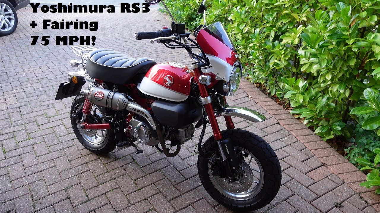 75 MPH Honda Monkey!