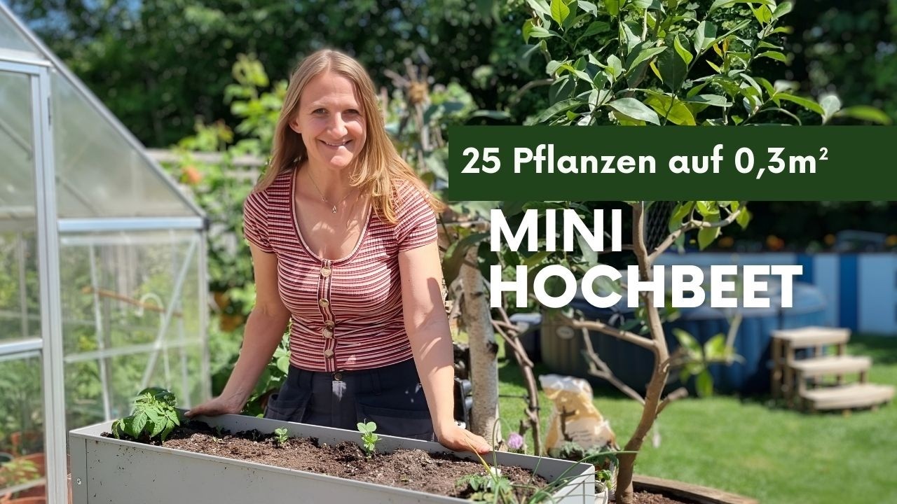 Mini Hochbeet 🌻🍅🌱 Maximale Vielfalt ! Selbstversorgung auf kleinestem Raum