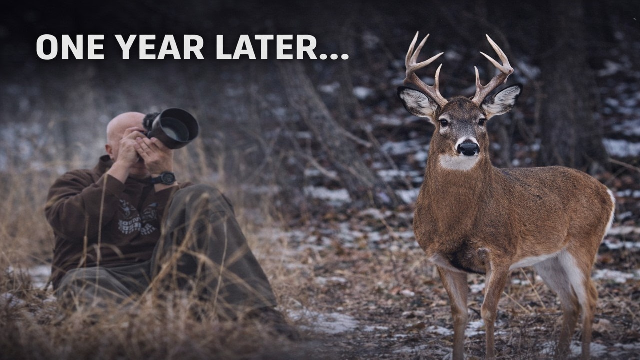 DEER – WILDLIFE PHOTOGRAPHY | One Year Later at the Same Deer Trail