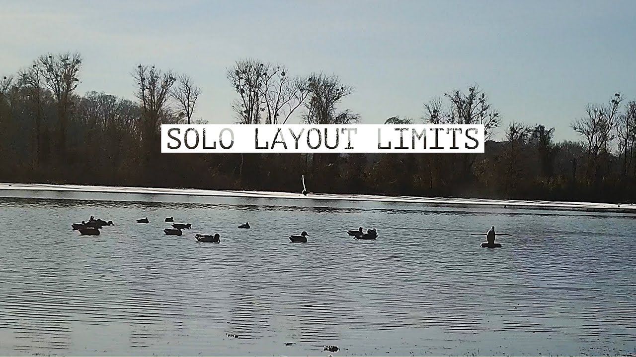Solo Layout LIMITS | Duck Hunting on Public Land