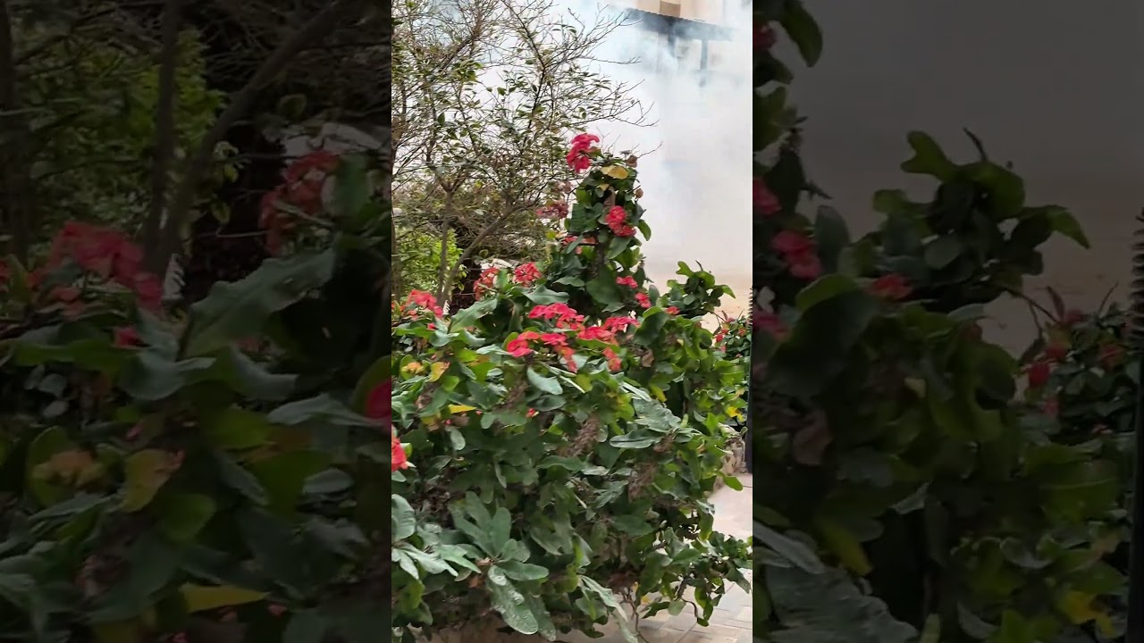 😱 Дым, вонь и паника: что происходит в жилых районах Хургады?