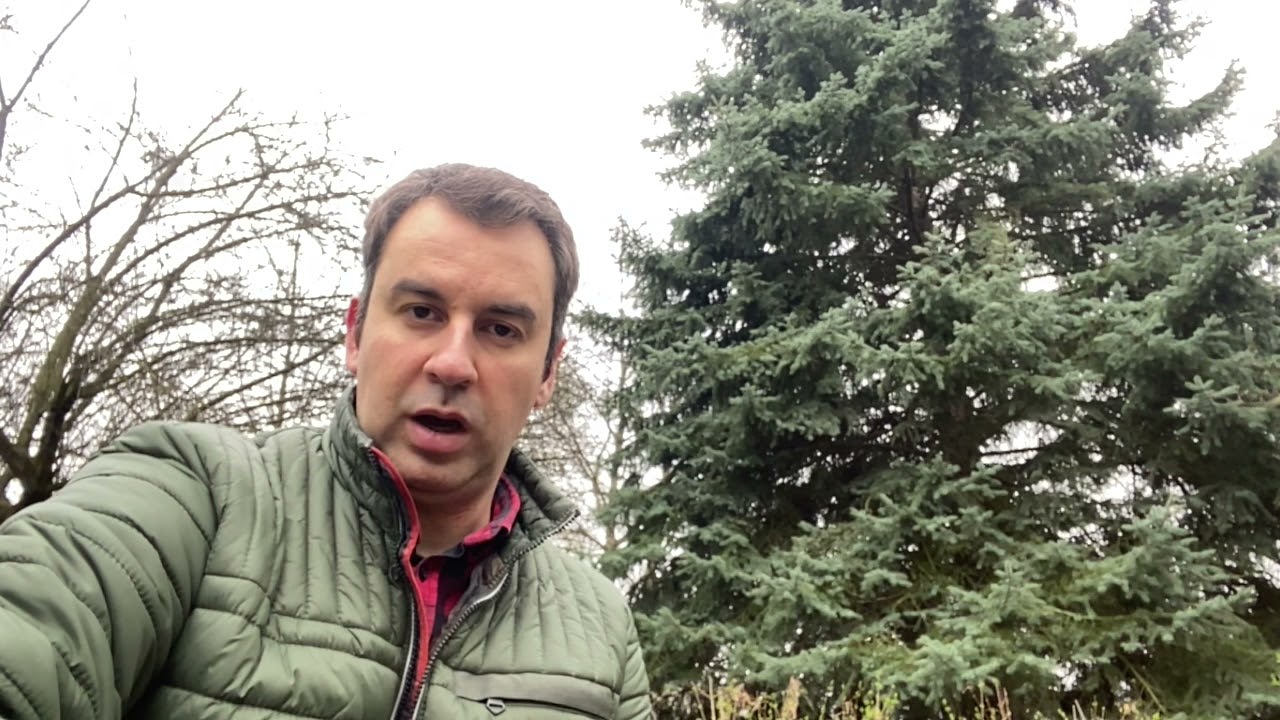 Almanyada psikoloji denkligi