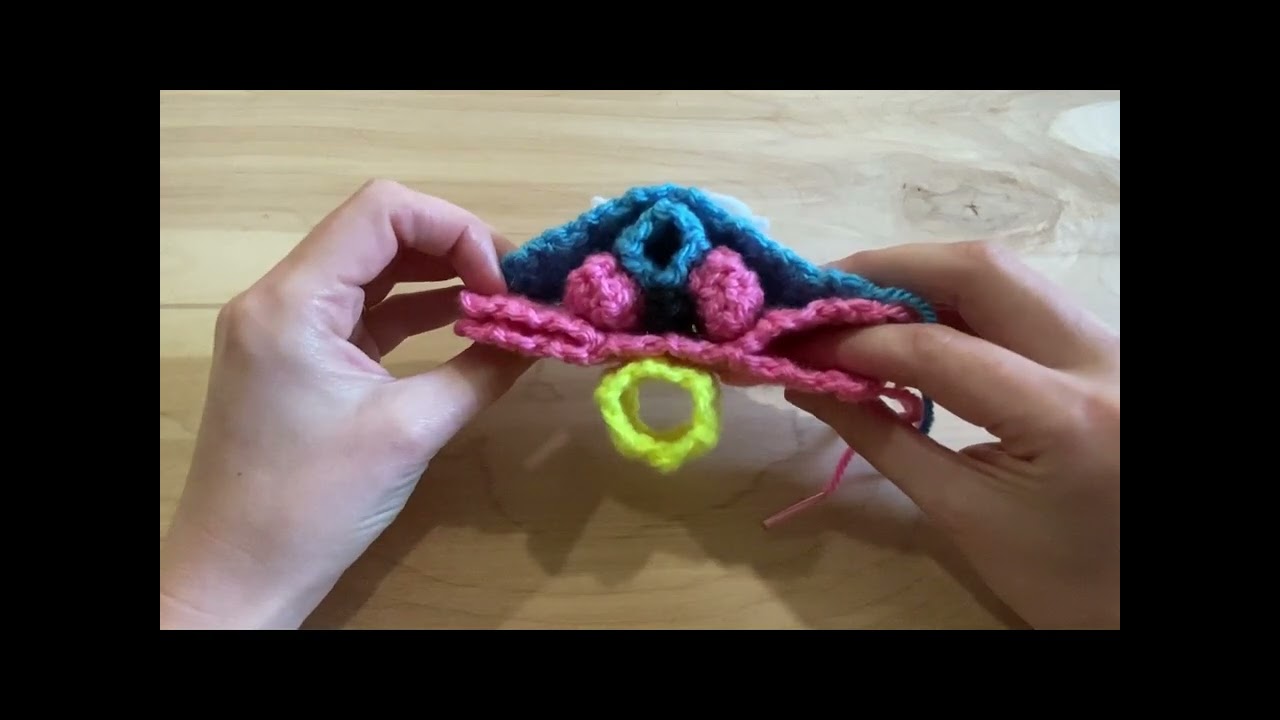 Использование вязания крючком для обучения эмбриональному боковому складыванию