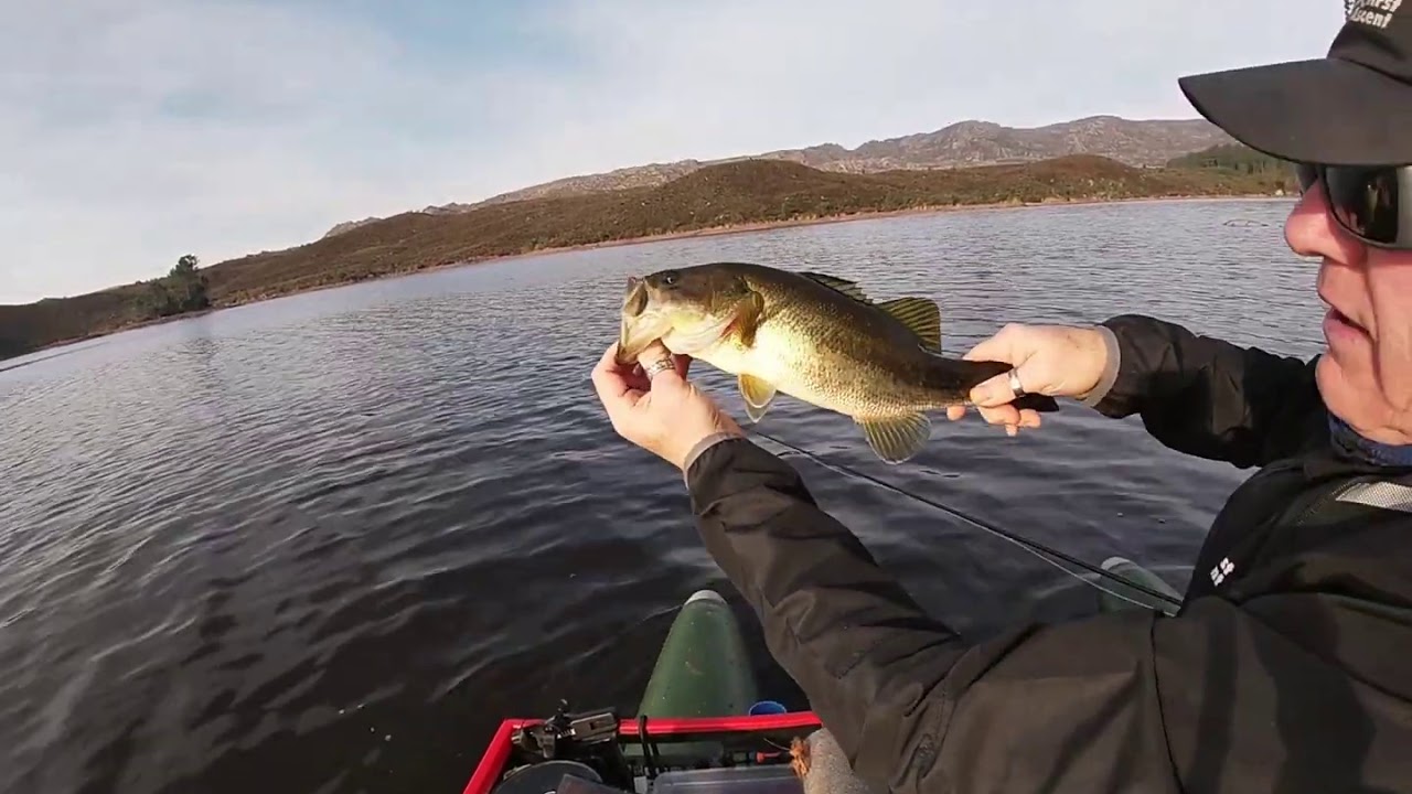 Bucketmouth Safaris Take 2