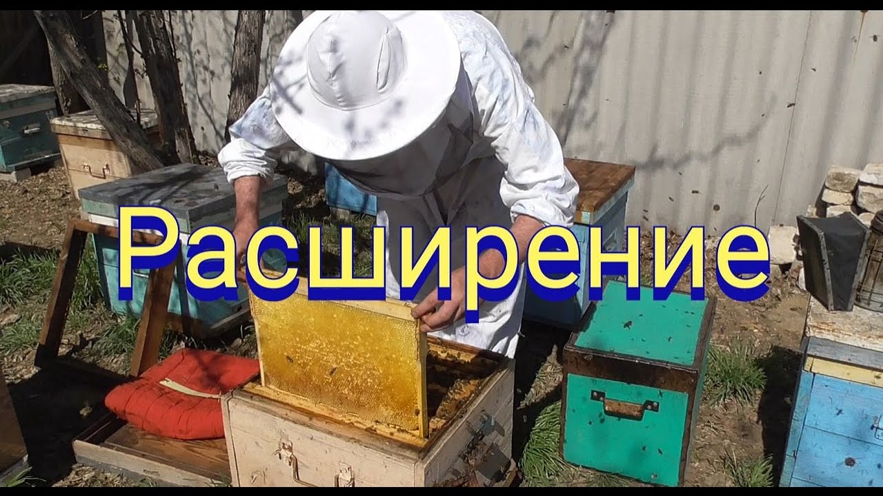 Как я расширяю гнезда пчел весной.
