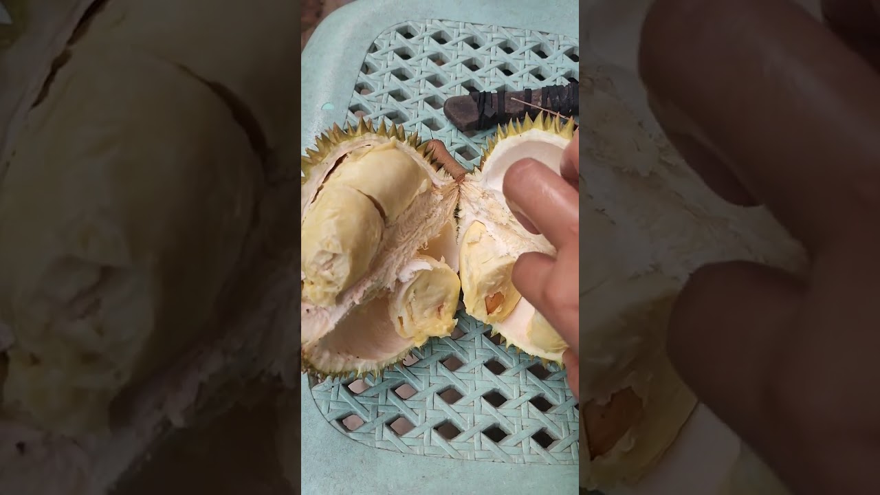 Durian eating 
