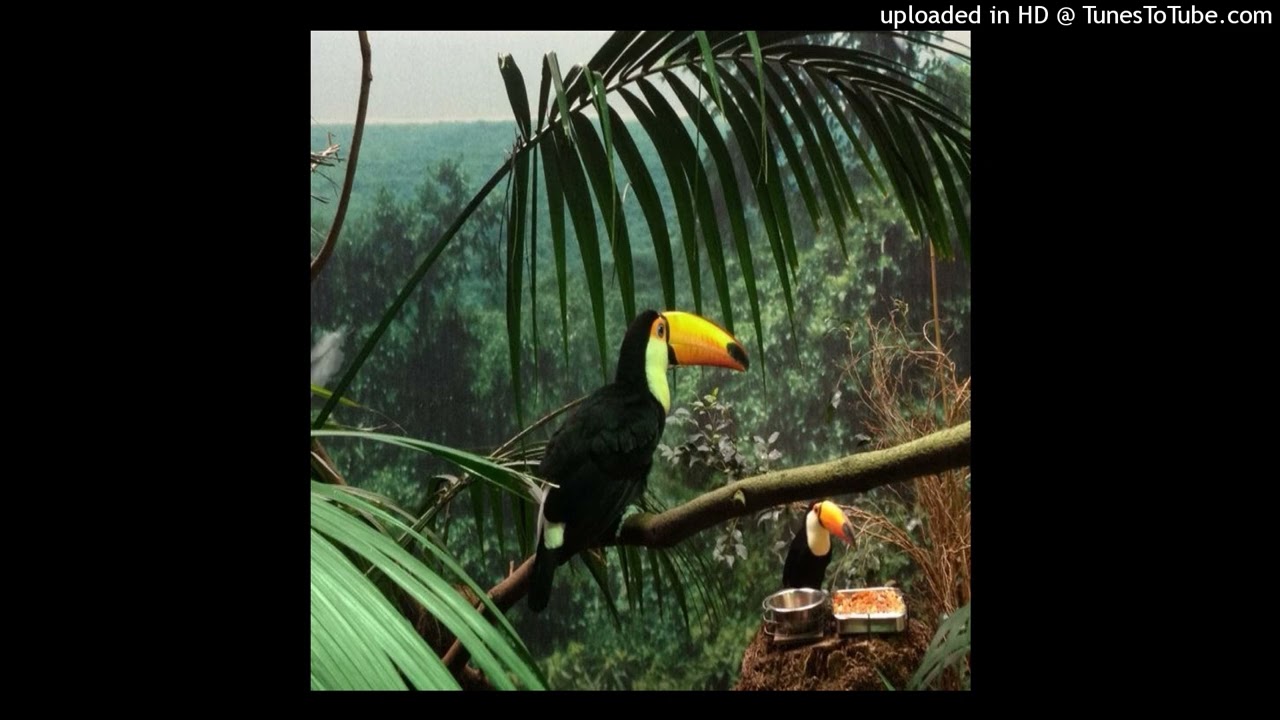 free accurate makkgin type beat “spread wings”