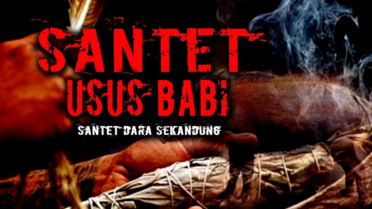 SANTET USUS BABI ( SANTET DARAH SEKANDUNG )