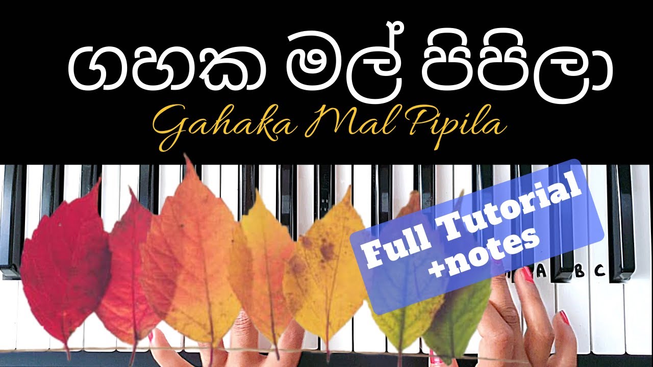 Gahaka Mal Pipila - Karunarathna Divulgane/ Both hands Piano Tutorial/ Level 1- 3/NOTES/  +slow