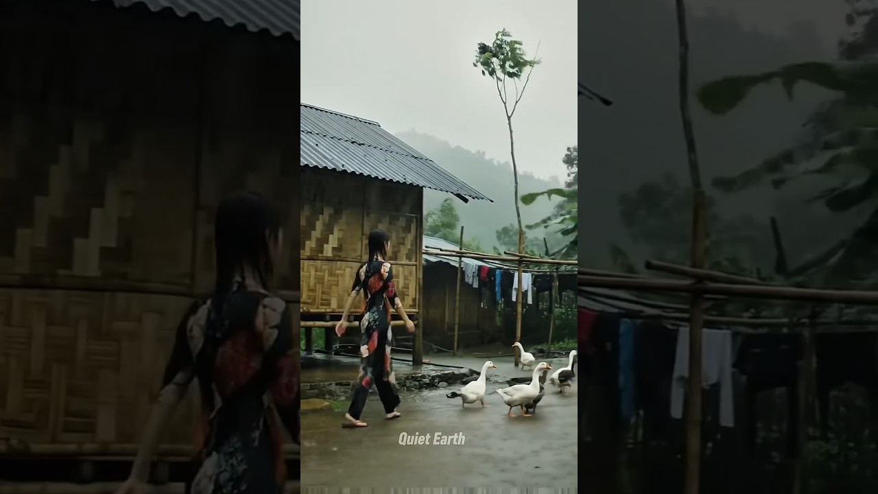 Heavy Rain in Rural Asia #rainvideo  #ruralvillage #ASMR #shorts #southasia #rainsounds  #aivideo