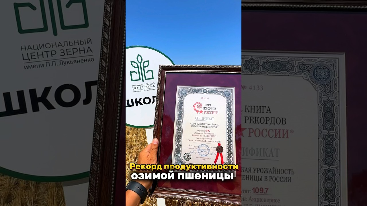 Рекордный урожай на Кубани! 2024! #агрономия #farming #жизньагрономанедома