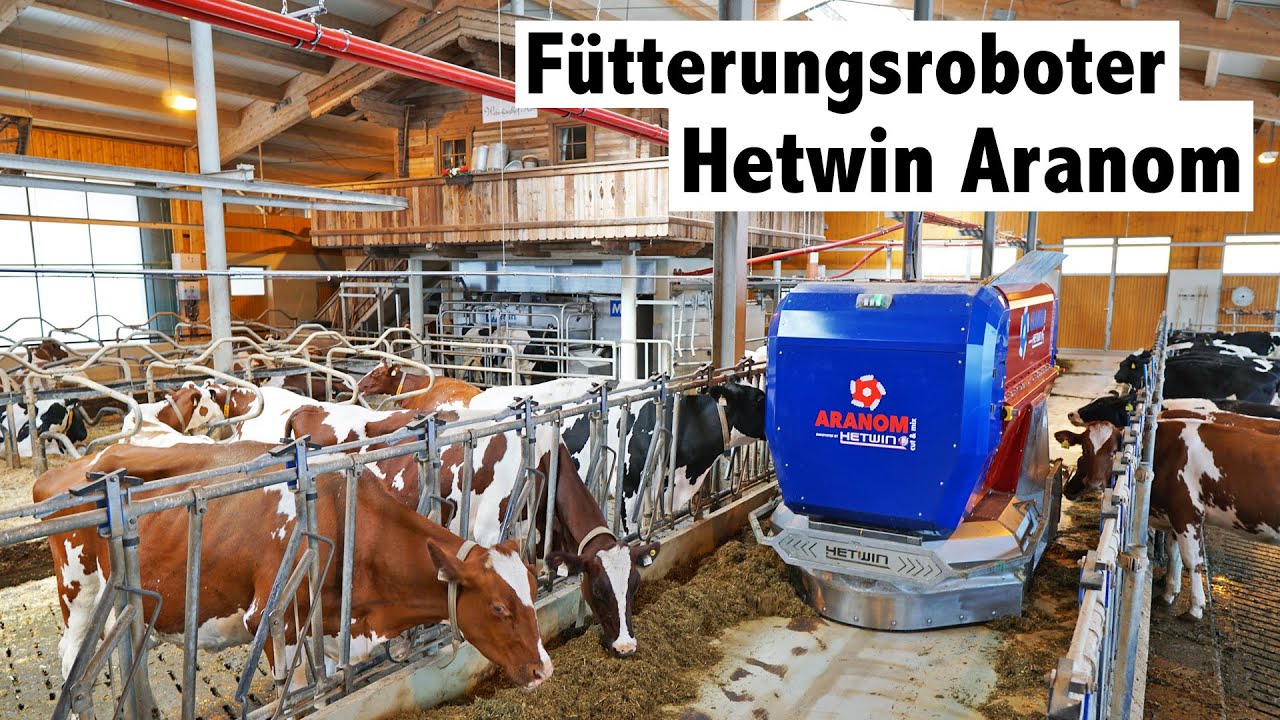 Hightech im Kuhstall | Fütterungsroboter Hetwin Aranom | Kühe automatisch füttern
