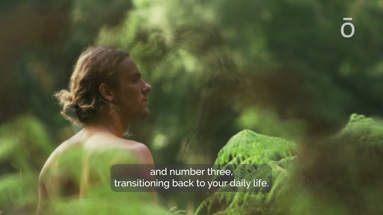 dōTERRA Shinrin-Yoku Forest Bathing Blend​