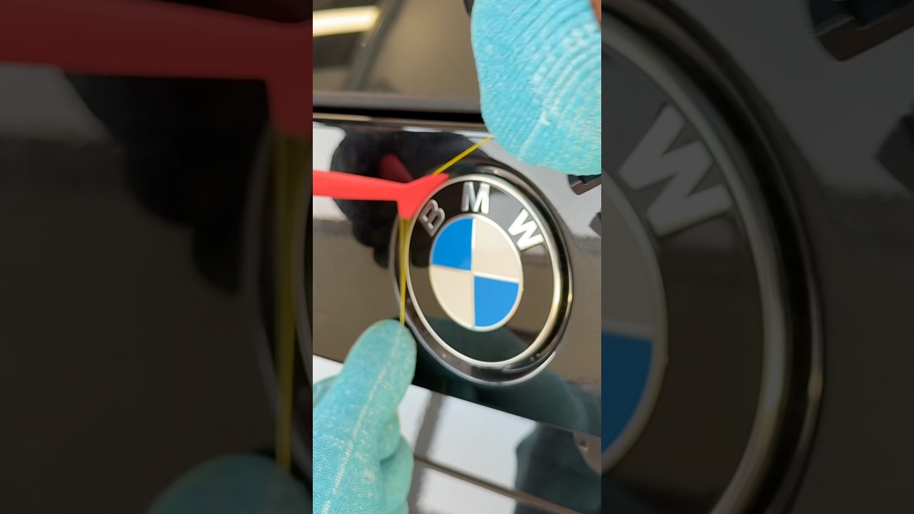 BMW X1 Rear BMW Emblem Removal (Fishing Line Trick) 🚗🛠️✨