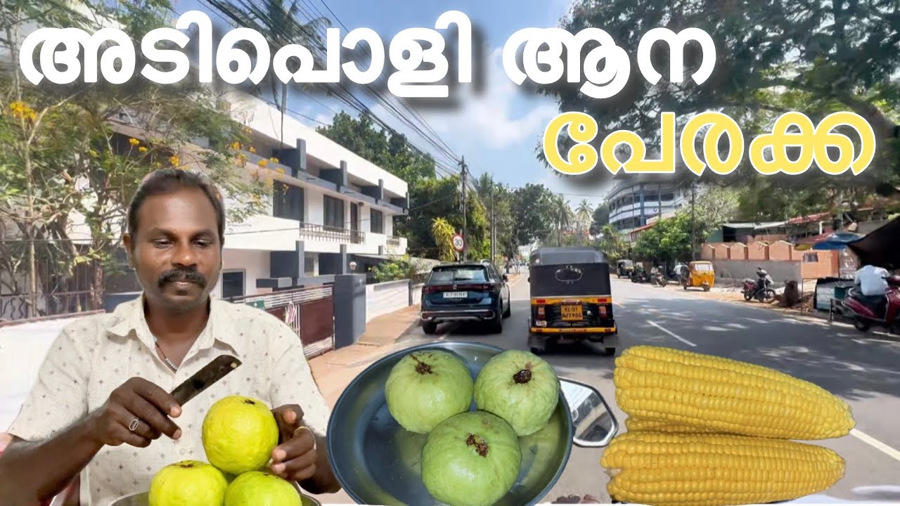 അടിപൊളി ആനപേരക്ക 