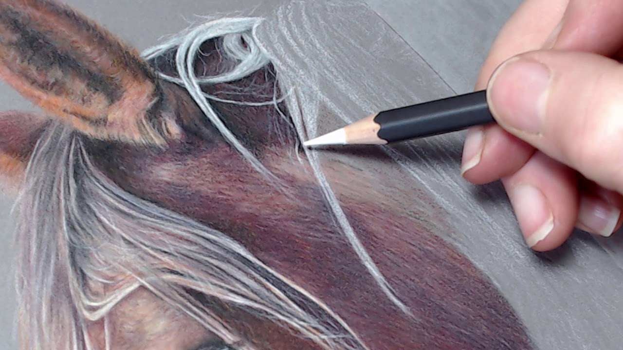 Drawing a horse's mane with coloured pencils