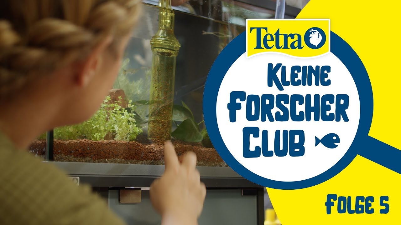 #Aquarium reinigen f&uuml;r Anf&auml;nger | Tetra Kleine Forscher Club Folge 5
