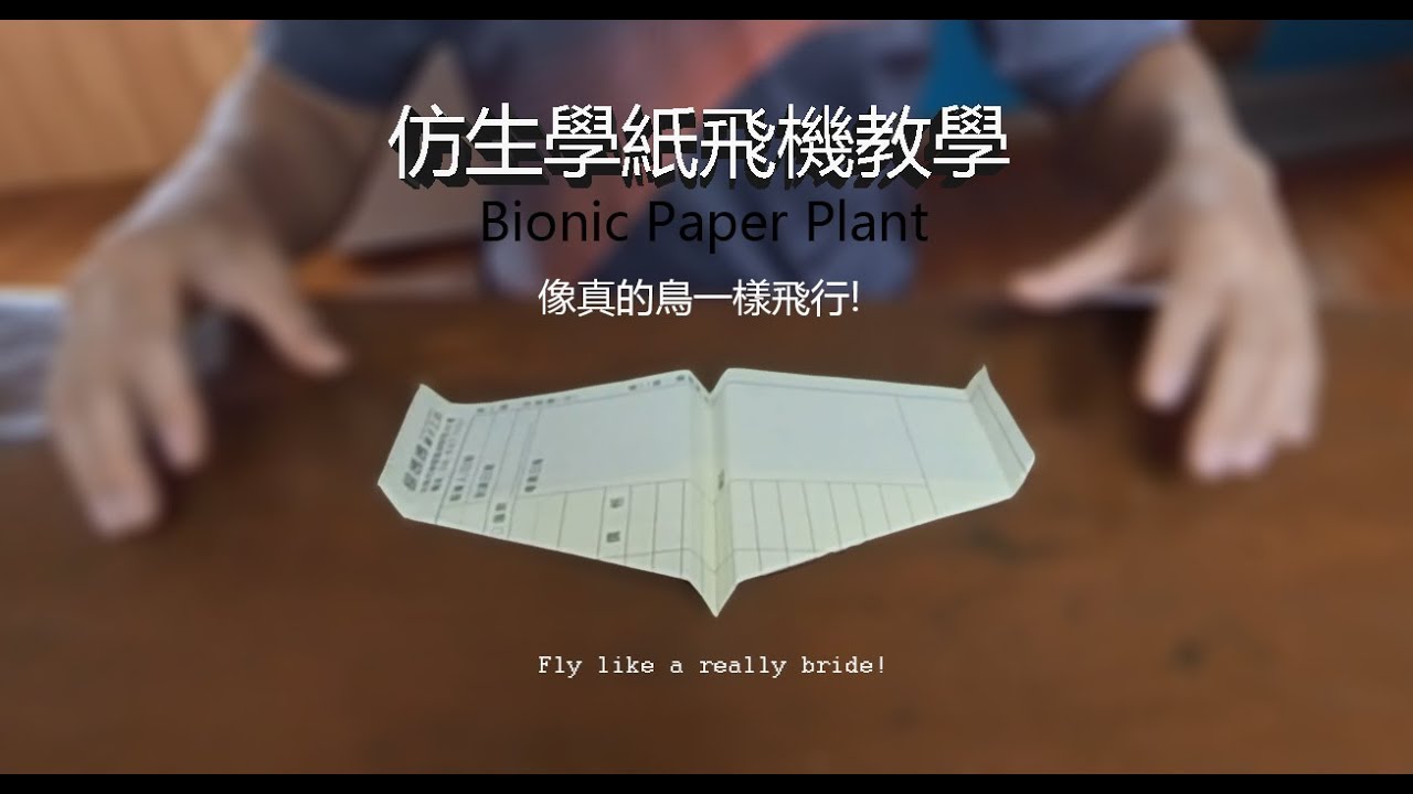 仿生學紙飛機 | 像鳥一樣搧動翅膀飛行吧! Bionic Paper Plane which fly like a bird.!