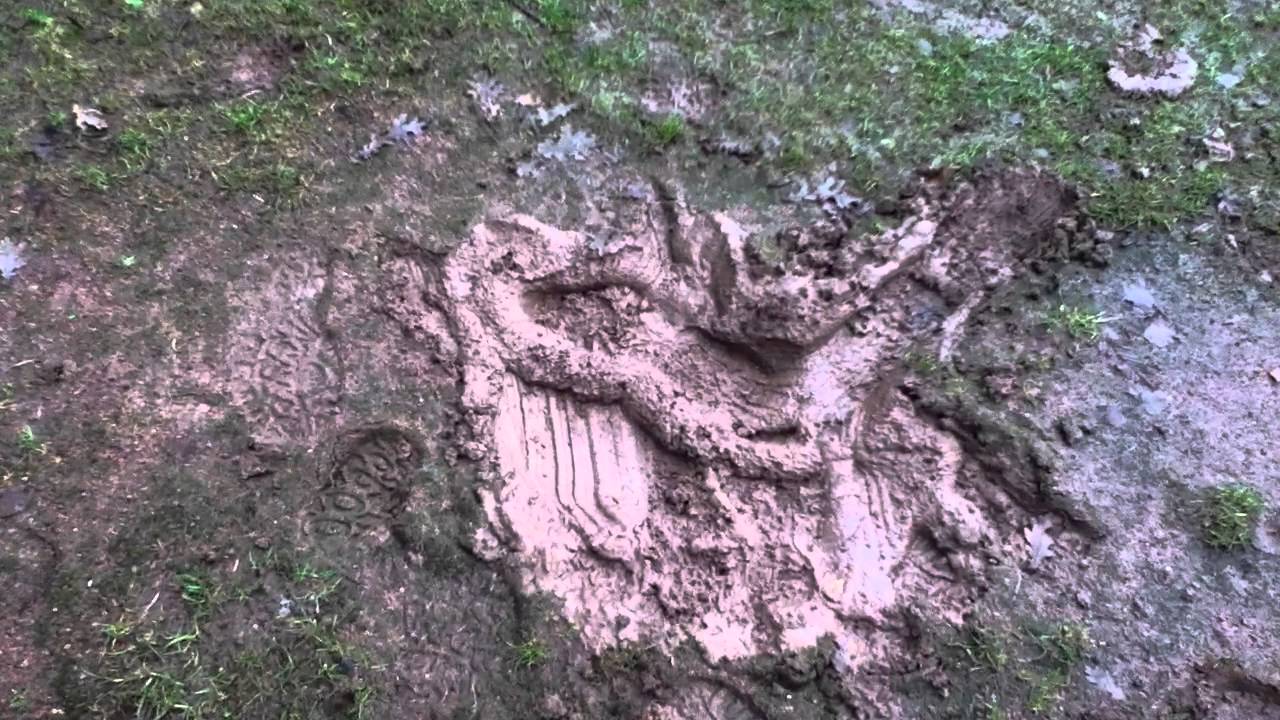 Die Matsche und der Schuh