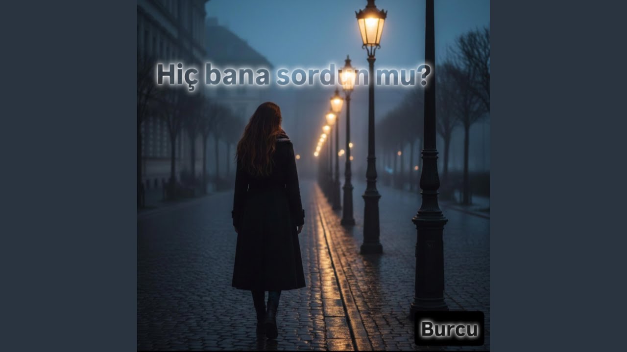 Hiç bana sordun mu