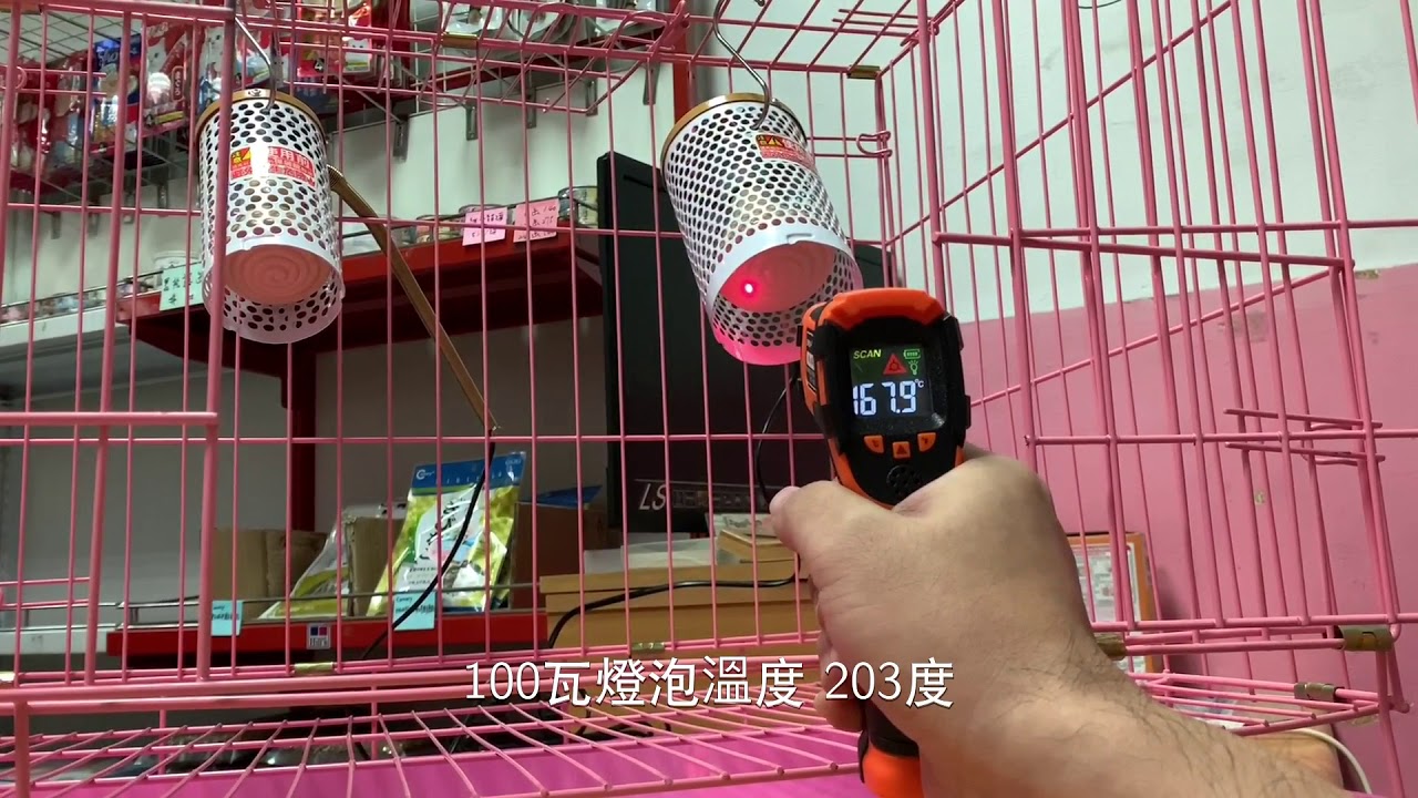陶瓷保溫燈【妮可寵物】溫度實測