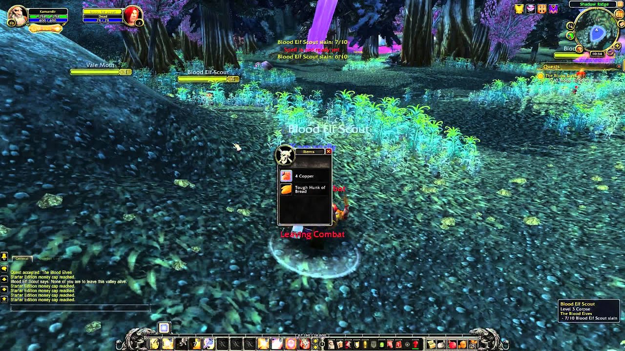 WoW quest #241 The Blood Elves