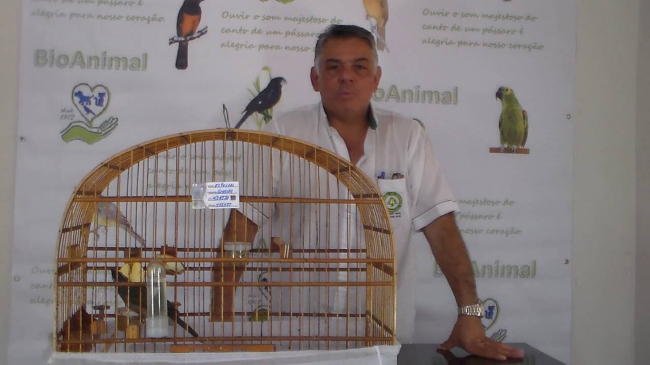 DICAS ALIMENTACAO DE UM TRINCA FERRO