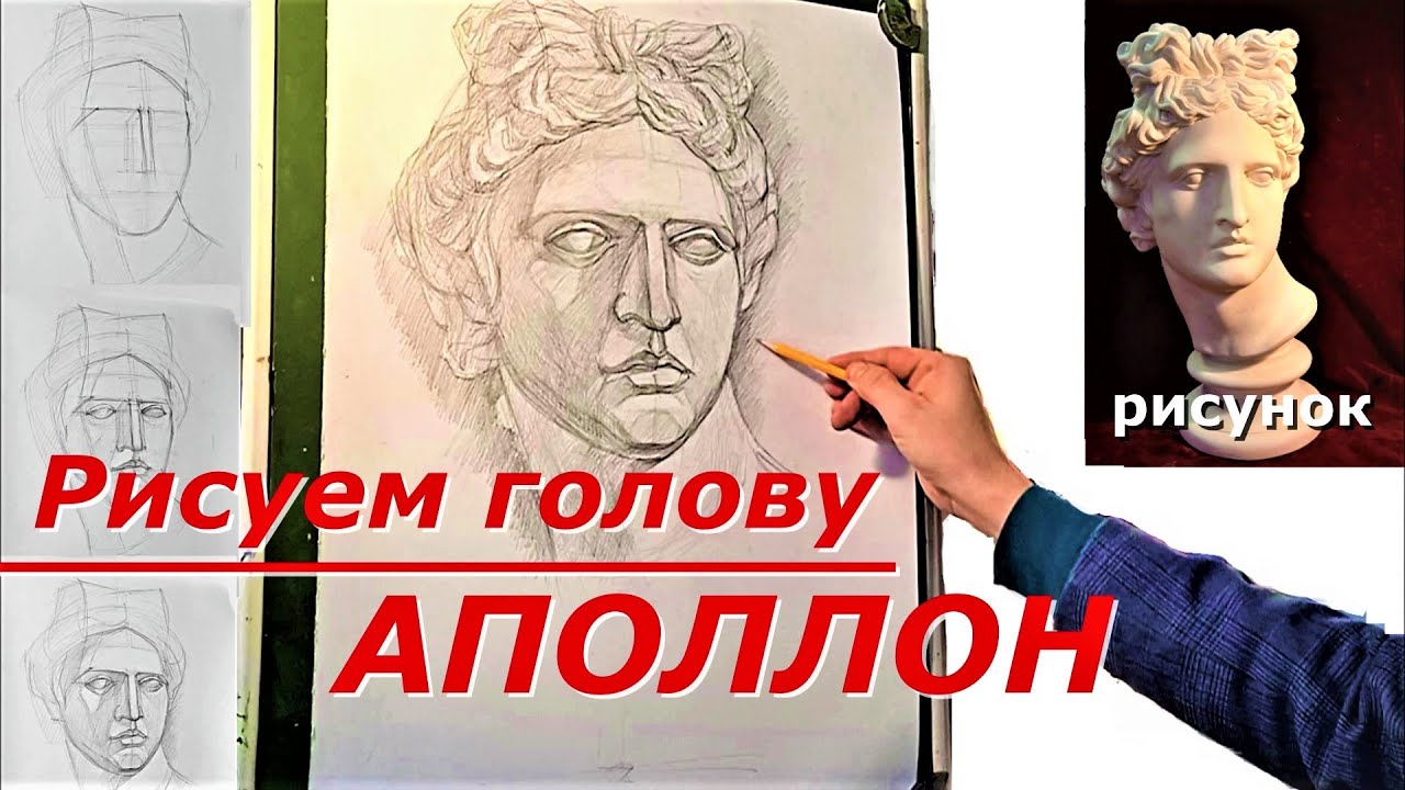 Рисуем голову.  Аполлон.  Рисунок