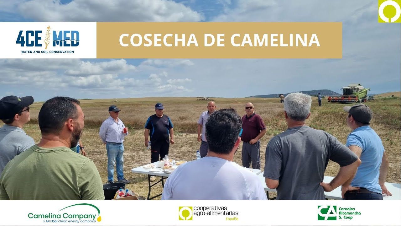 Proyecto 4CEMED: Cosecha de Camelina