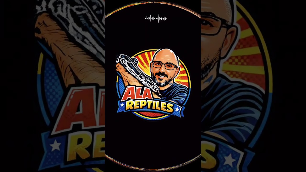 #alareptiles