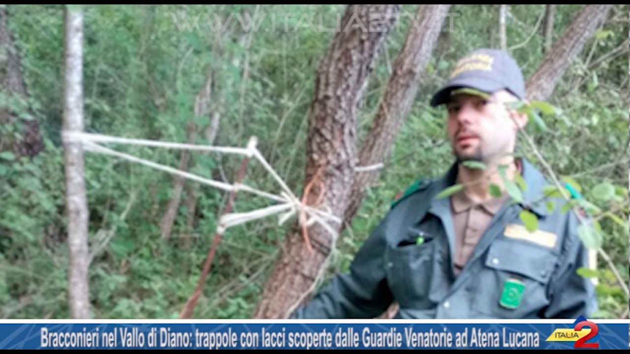 Bracconieri nel Vallo di Diano: trappole con lacci scoperte dalle Guardie Venatorie