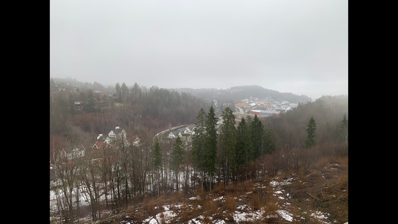 Happy evening 💚💚💚💚💚