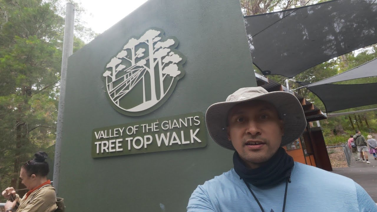 Valley Of The Giants. Tree top Walk