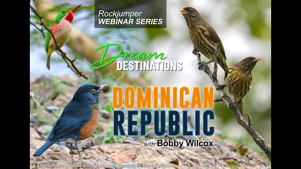 Dominican Republic with Bobby Wilcox