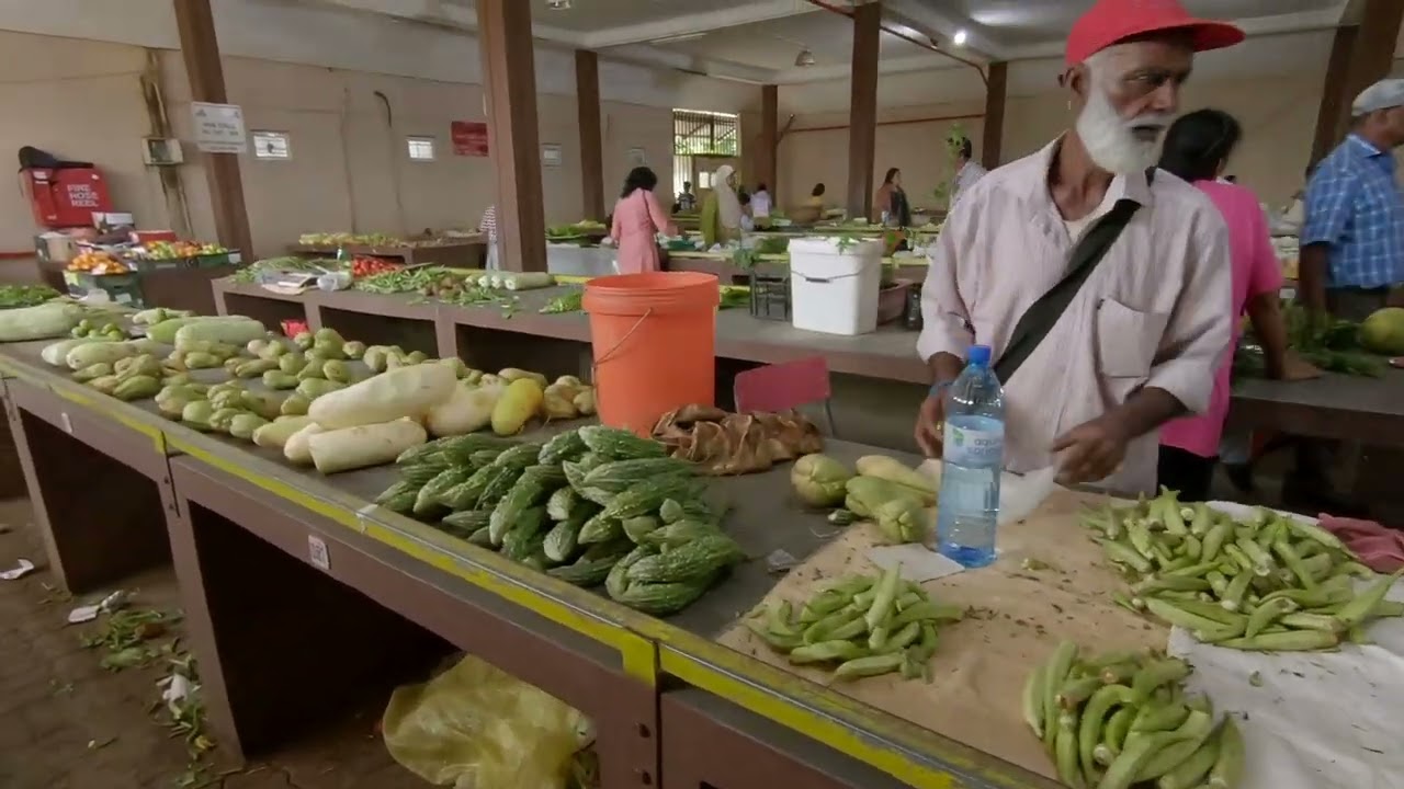 les prix des legumes au bazaar st pierre a l'ile Maurice après une grosse pluie
