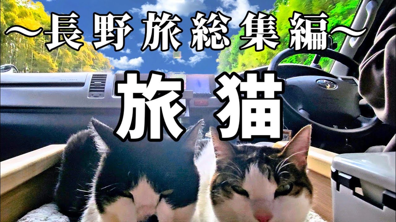 車中泊で長野旅《総集編》旅猫のうみ😸そら😼と家具職人夫婦の長野旅をお楽しみくださいませ🚐💨