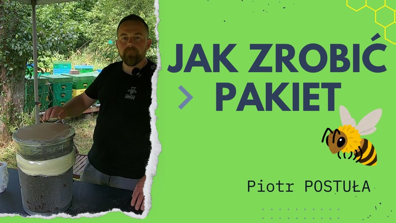 PAKIET CZY ODKŁAD - PAKIETY OD POSTUŁY #pszczoły
