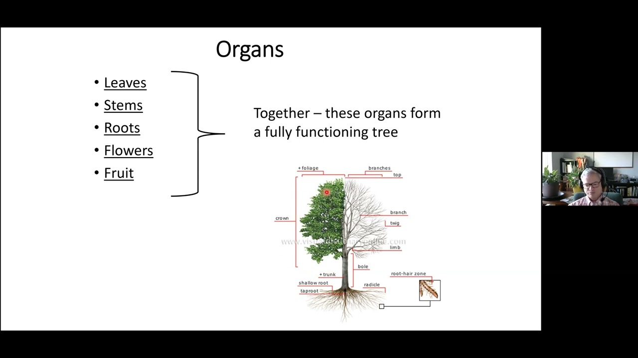2022: ISA Certified Arborist® Exam Review Course. Rob Swanson, Kay Evanovich, January 2022