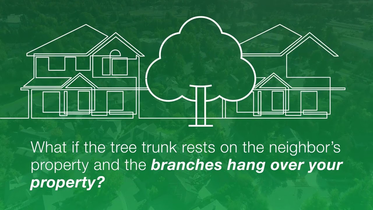 Who Owns this Tree