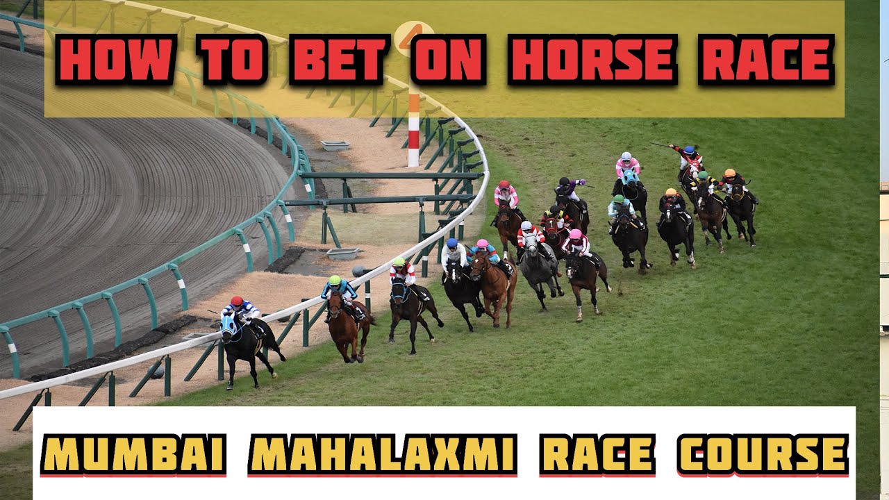 Mumbai's Biggest Horse Racing Event 🐎🐎Mahalaxmi Racecourse Racing Carnival 2026 | 
