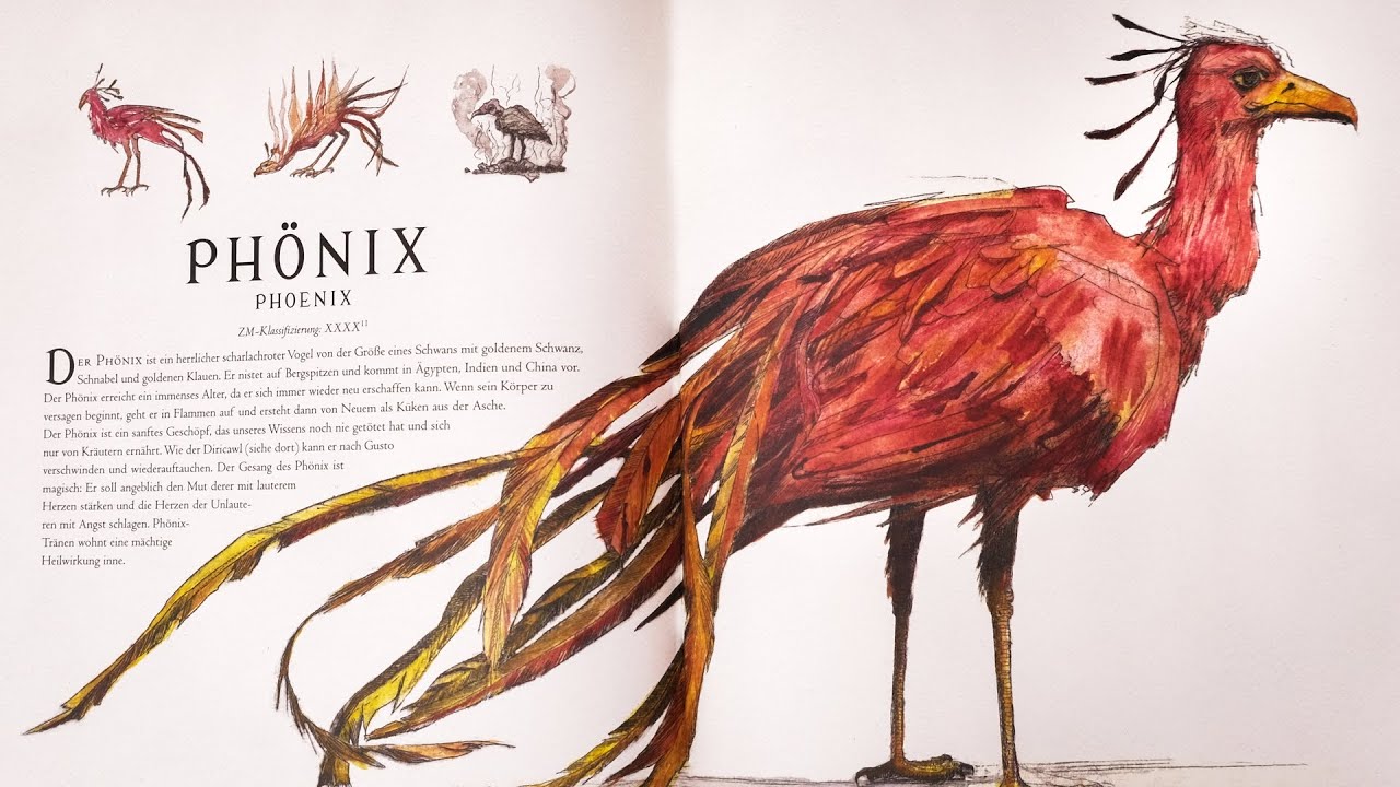 Phantastische Tierwesen: Illustrierte Schmuckausgabe