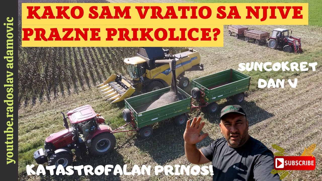 KAKO SAM VRATIO SA NJIVE PRAZNE PRIKOLICE? KATASTROFALAN PRINOS SUNCOKRETA;POOR SUNFLOWER YIELD
