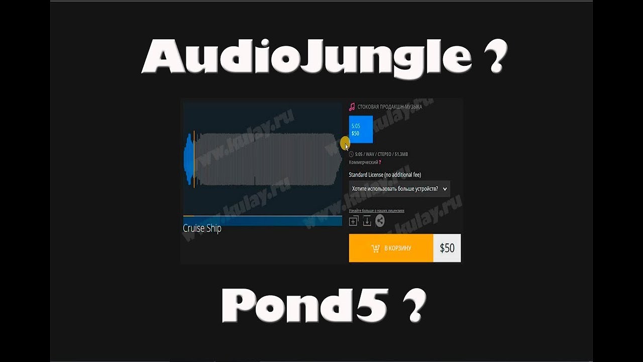 AudioJungle или Pond5? Выбор, преимущества