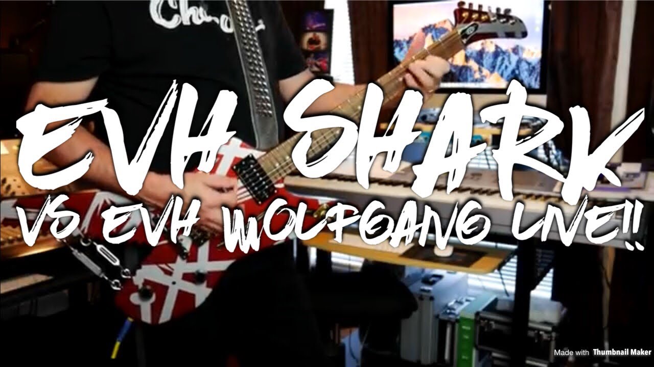 EVH Shark vs EVH Wolfgang Live