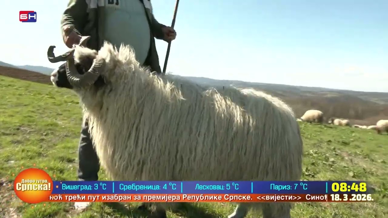 Selo Pervan kod Banjaluke: Samohrani otac od ovaca i magarica školuje svoju djecu