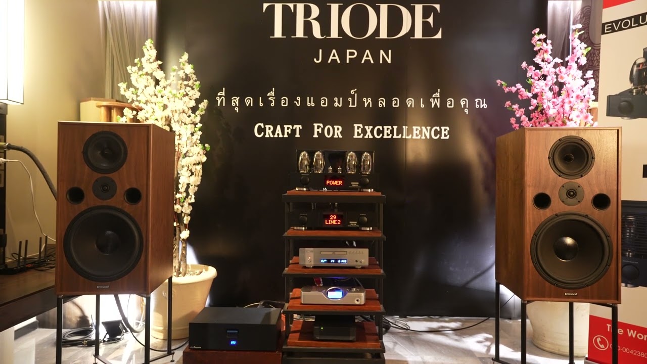 TRIODE EVOLUTION MUSASHI, EVOLUTION PRE / SPENDOR Classic 100 / CHORD DAVE  - BAV2024