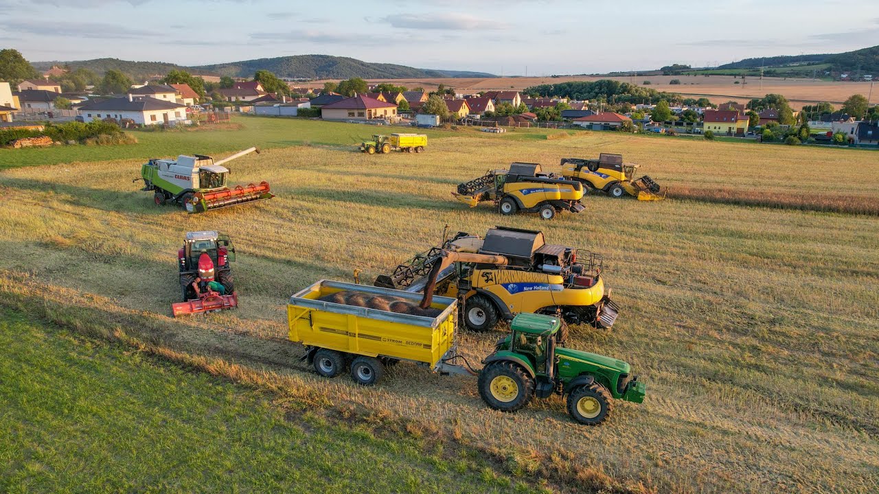 Žně 2022 - sklizeň řepky | 3x New Holland + Claas Lexion 550 (služby Lunda)