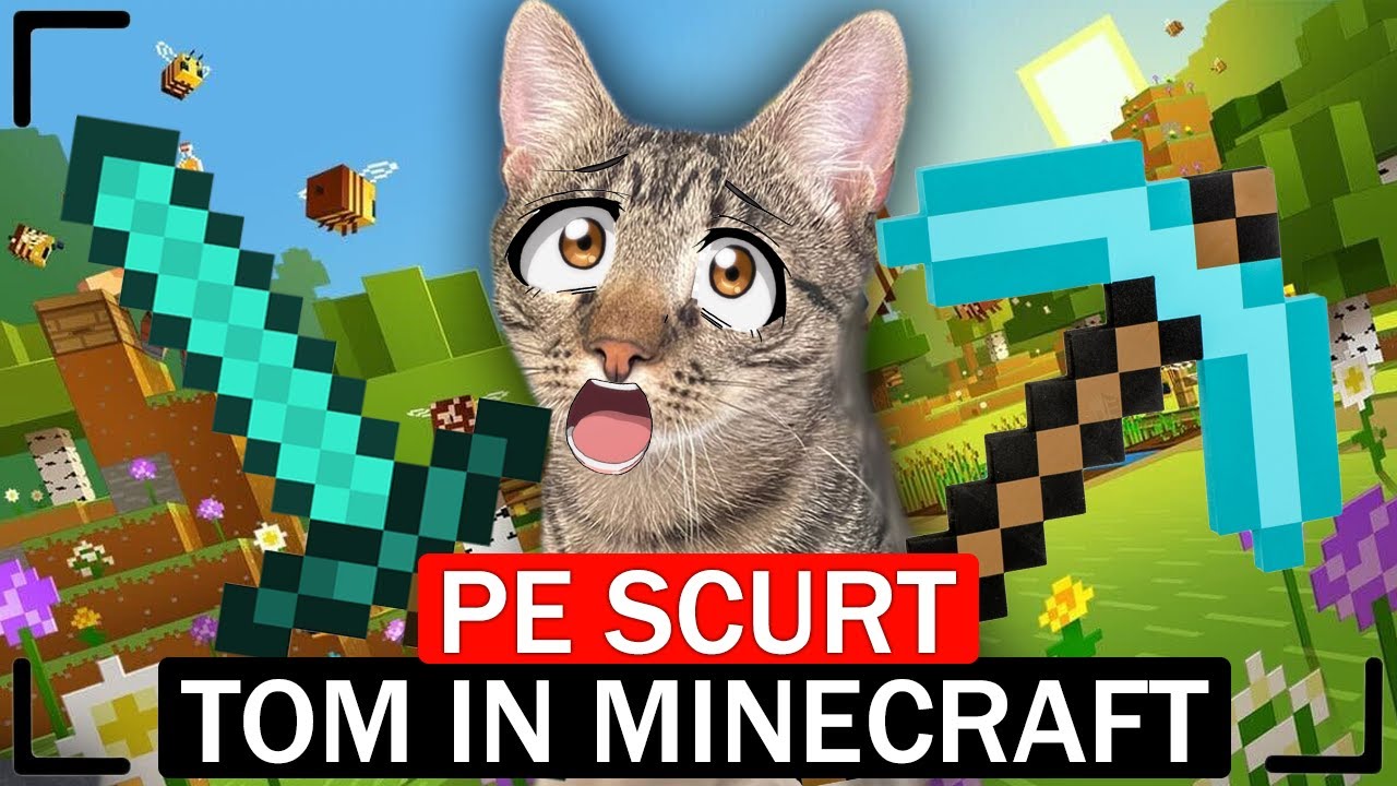 PE SCURT, TOM ÎN MINECRAFT